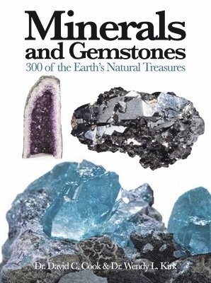 bokomslag Minerals and Gemstones