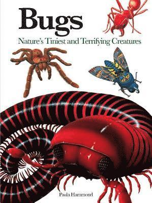 Paula Hammond - Bugs, Häftad