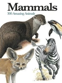 bokomslag Mammals