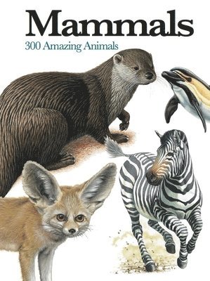 bokomslag Mammals