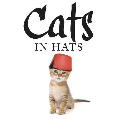 Scratching, K: Cats in Hats