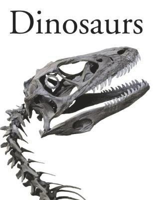 bokomslag Encyclopedia of Dinosaurs