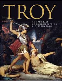 bokomslag Troy