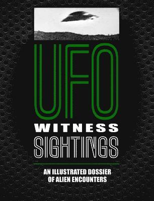 bokomslag UFO Witness Sightings