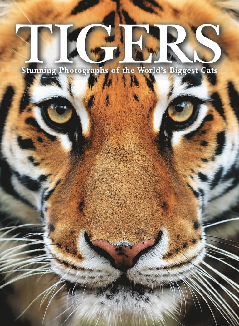 Tigers