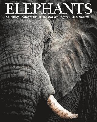 Jackson, T: Elephants