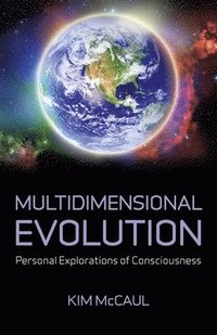 bokomslag Multidimensional Evolution
