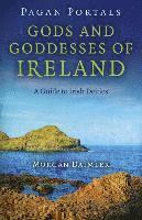 bokomslag Pagan Portals  Gods and Goddesses of Ireland  A Guide to Irish Deities