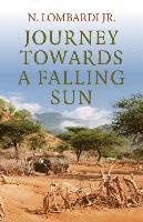 Journey Towards a Falling Sun 1