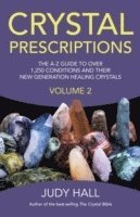 bokomslag Crystal Prescriptions volume 2  The AZ guide to over 1,250 conditions and their new generation healing crystals