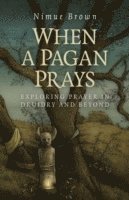 bokomslag When a Pagan Prays  Exploring prayer in Druidry and beyond