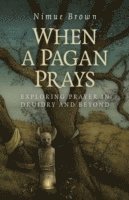 bokomslag When a Pagan Prays - Exploring prayer in Druidry and beyond