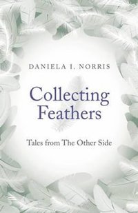 bokomslag Collecting Feathers - tales from The Other Side