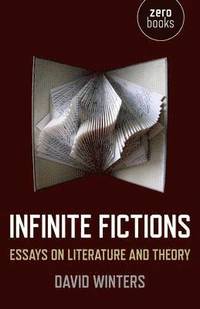 bokomslag Infinite Fictions - Essays on Literature and Theory