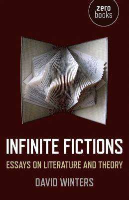 bokomslag Infinite Fictions - Essays on Literature and Theory