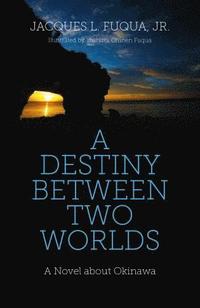 bokomslag Destiny Between Two Worlds, A - A Novel about Okinawa