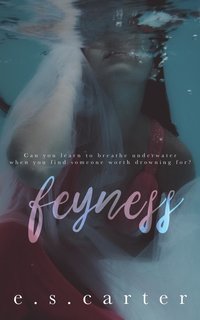 bokomslag Feyness