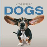 bokomslag Little Book of Dogs