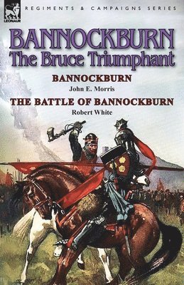 bokomslag Bannockburn, 1314