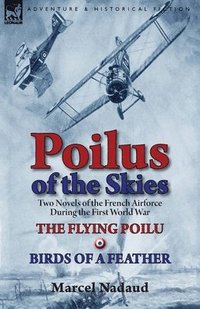 bokomslag Poilus of the Skies