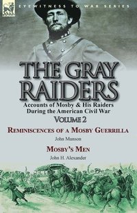 bokomslag The Gray Raiders-Volume 2
