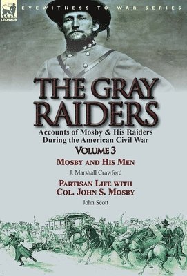 bokomslag The Gray Raiders