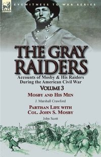 bokomslag The Gray Raiders
