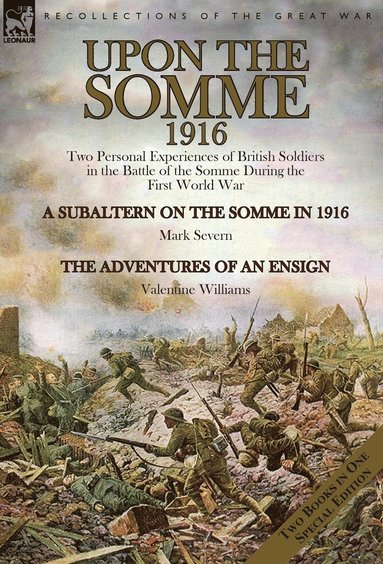 bokomslag Upon the Somme, 1916