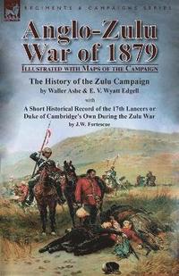 bokomslag Anglo-Zulu War of 1879