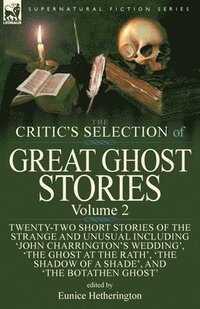 bokomslag The Critic's Selection of Great Ghost Stories