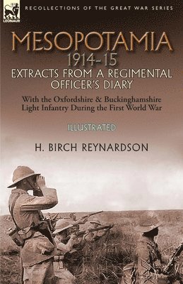 Mesopotamia 1914-15