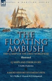bokomslag The Floating Ambush