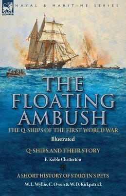 bokomslag Floating Ambush