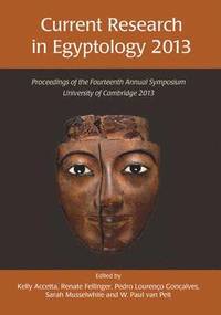 bokomslag Current Research in Egyptology 14 (2013)