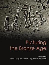 bokomslag Picturing the Bronze Age