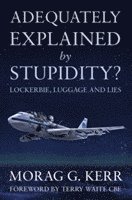 bokomslag Adequately Explained by Stupidity?