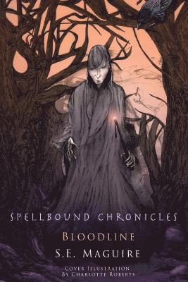 bokomslag Spellbound Chronicles