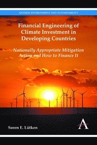 bokomslag Financial Engineering of Climate Investment in Developing Countries