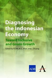 bokomslag Diagnosing the Indonesian Economy