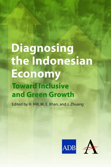 Hal Hill, Muhammad Ehsan Khan, Juzhong Zhuang - Diagnosing the Indonesian Economy, Häftad