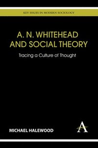 bokomslag A. N. Whitehead and Social Theory