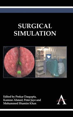 bokomslag Surgical Simulation