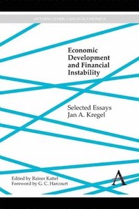 bokomslag Economic Development and Financial Instability