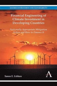 bokomslag Financial Engineering of Climate Investment in Developing Countries