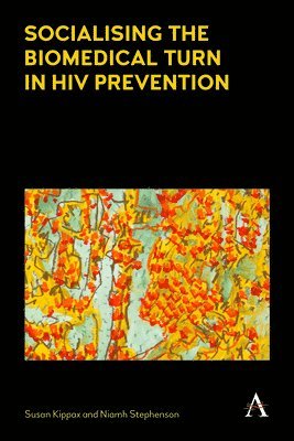 bokomslag Socialising the Biomedical Turn in HIV Prevention