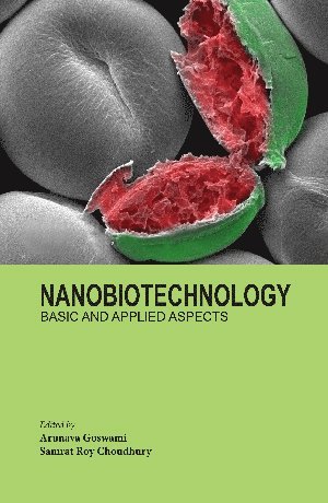 bokomslag Nanobiotechnology