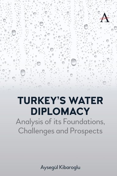 bokomslag Turkeys Water Diplomacy