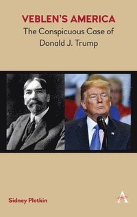 bokomslag Veblen's America