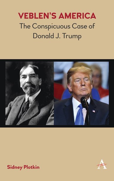bokomslag Veblen's America