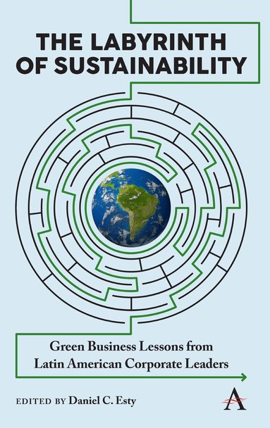 Daniel C. Esty - Labyrinth of Sustainability, Inbunden